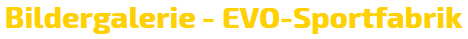 Logo-Bildergalerie-EVO-Sportfabrik.jpg