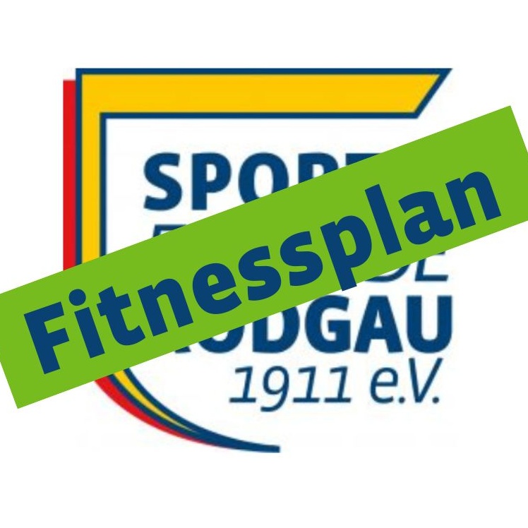 SFR Logo Fitnessplan